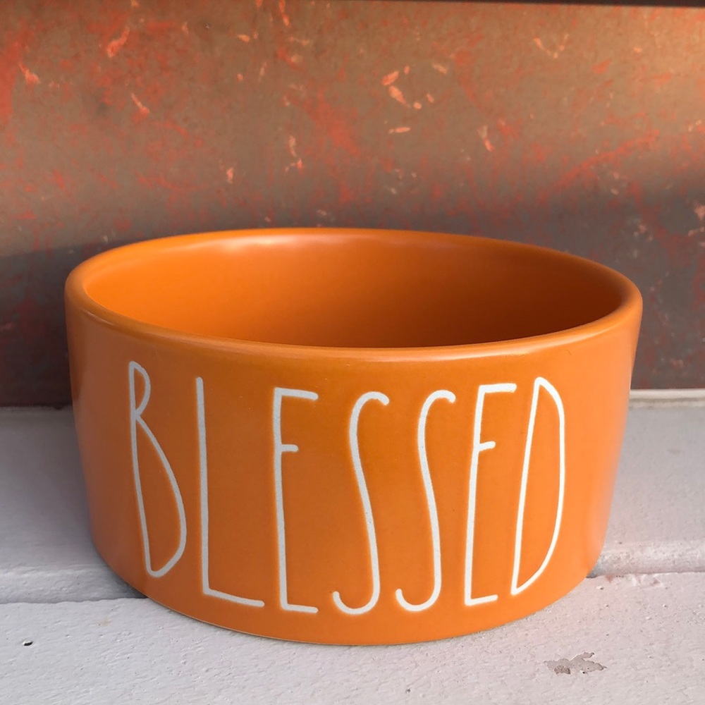 Fall Orange Rae Dunn BLESSED Dog Bowl
